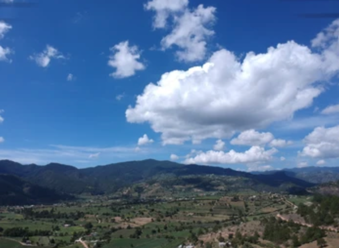 <em>rodrigo M.</em>